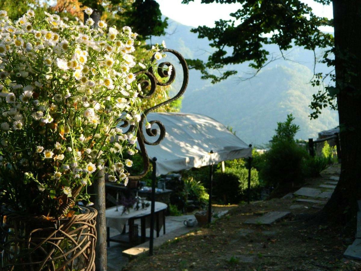 Stazzema Casa Emilia 빌라 외부 사진
