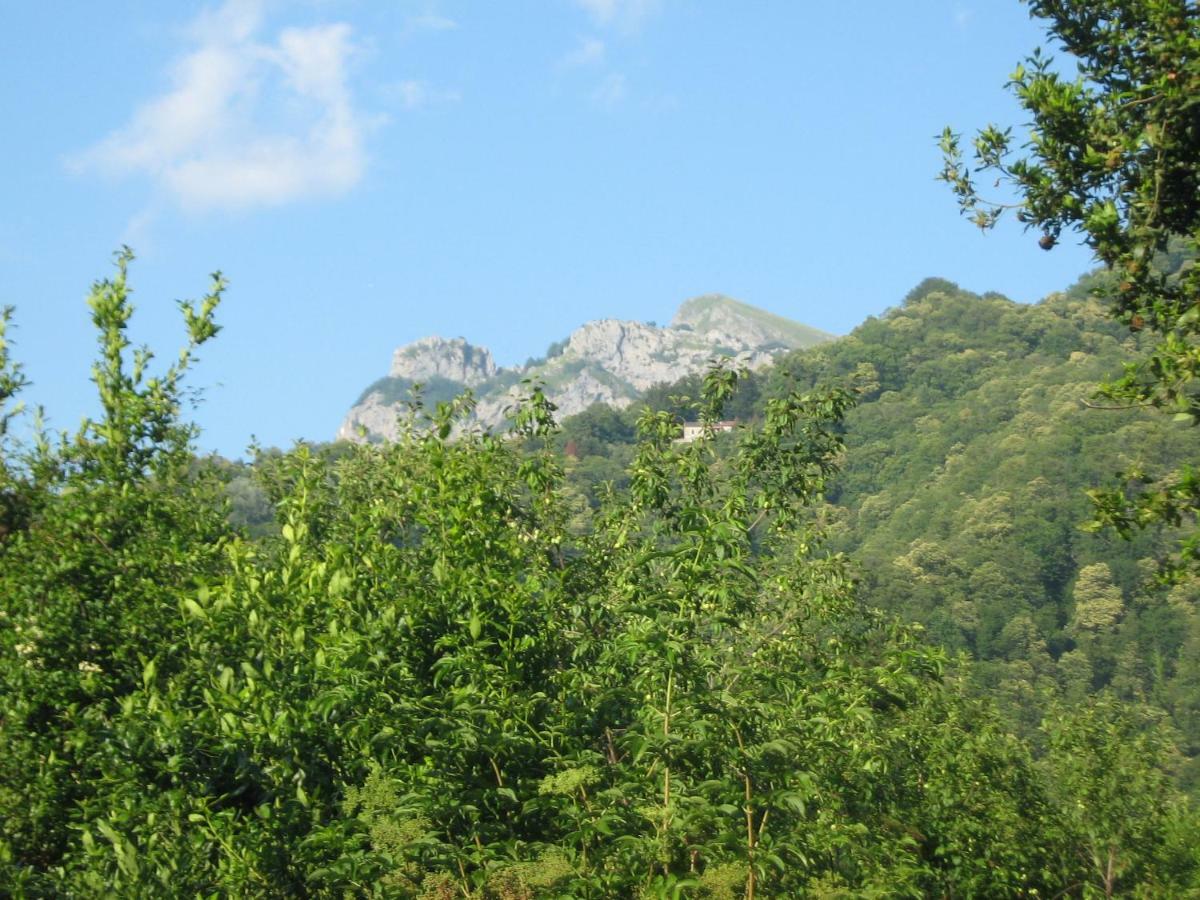 Stazzema Casa Emilia 빌라 외부 사진